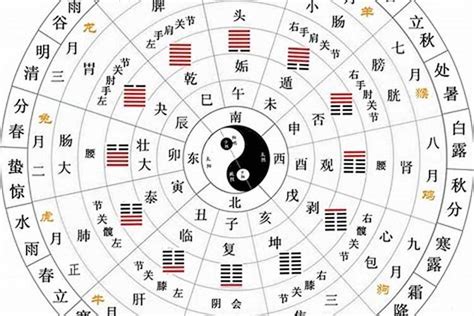 陰陽 意思|陰陽 的意思、解釋、用法、例句